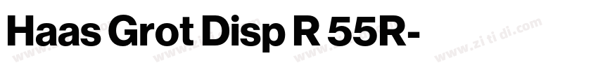 Haas Grot Disp R 55R字体转换 Haas Grot Disp R 55R字体转换